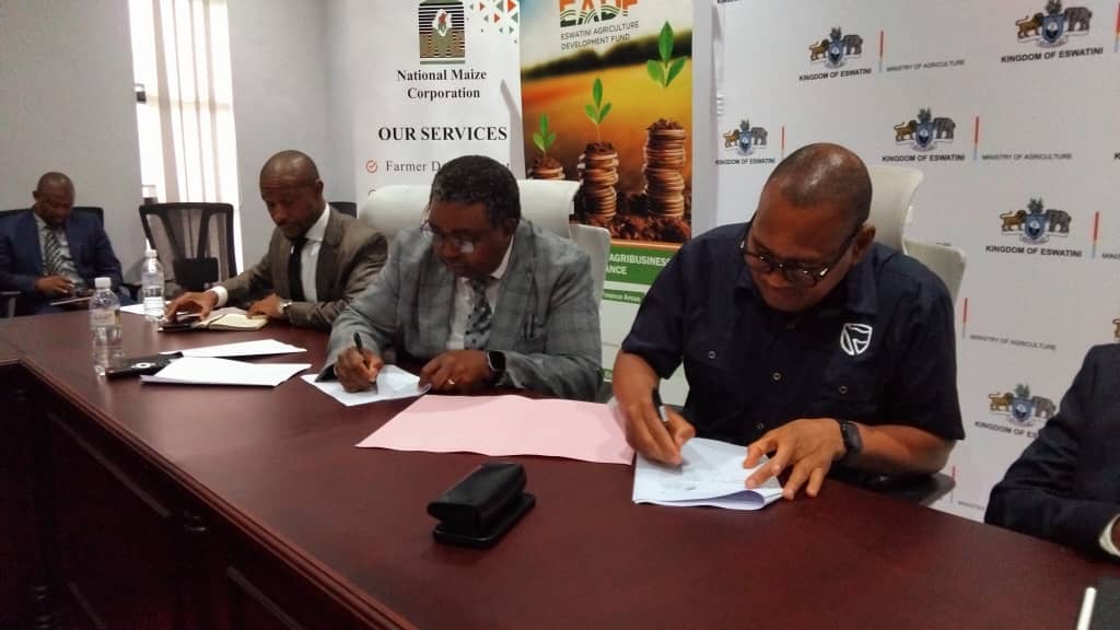 WhatsApp Image 2025-12-18 at 13.20.51_d13fc672