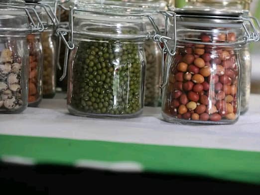 WhatsApp Image 2025-12-19 at 11.04.35_eea3b1dc WhatsApp Image 2025-12-19 at 11.04.35_eea3b1dc