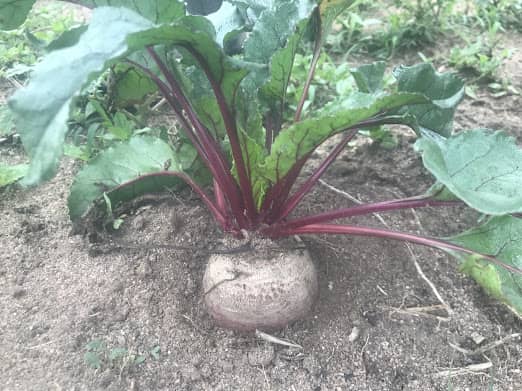 WhatsApp Image 2025-12-19 at 11.04.36_1597b4a3 WhatsApp Image 2025-12-19 at 11.04.36_1597b4a3