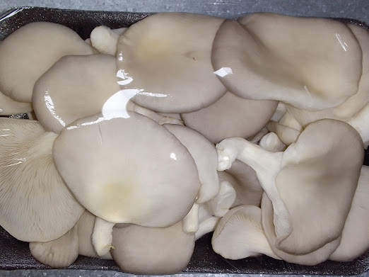 WhatsApp Image 2025-12-19 at 11.04.36_c280a003 WhatsApp Image 2025-12-19 at 11.04.36_c280a003