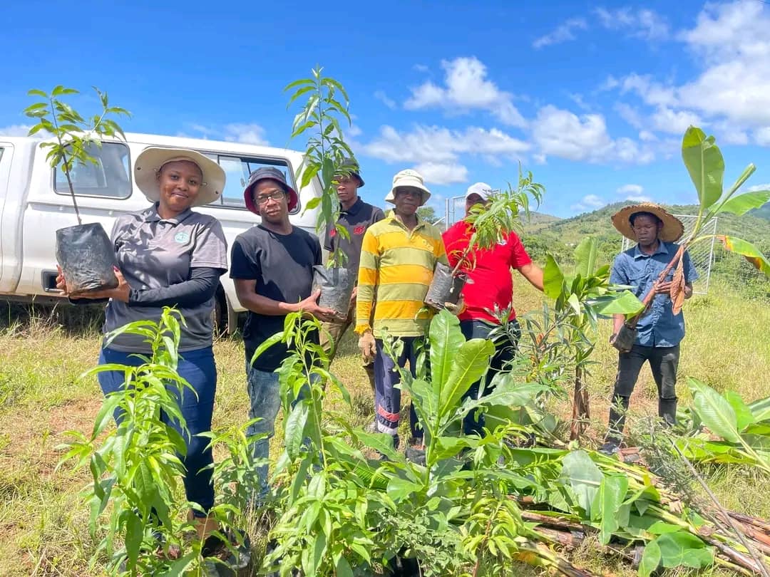 WhatsApp Image 2025-12-24 at 10.26.16_67d807da