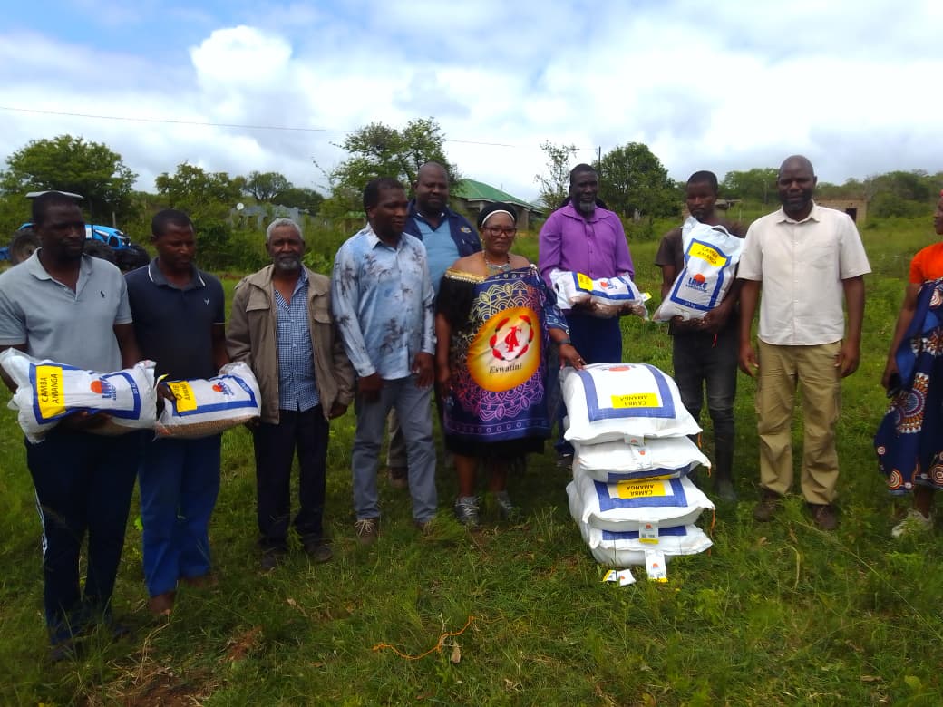 WhatsApp Image 2026-01-09 at 4.35.33 PM (2)