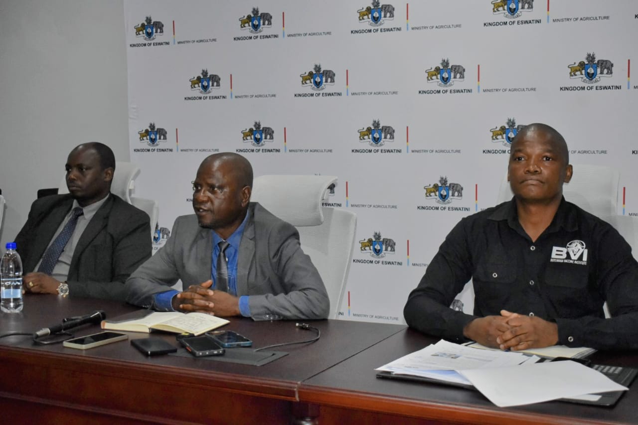 WhatsApp Image 2026-01-12 at 12.54.08 PM (1)