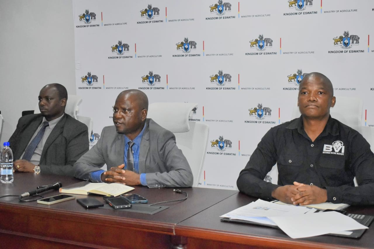 WhatsApp Image 2026-01-12 at 12.54.09 PM (1)