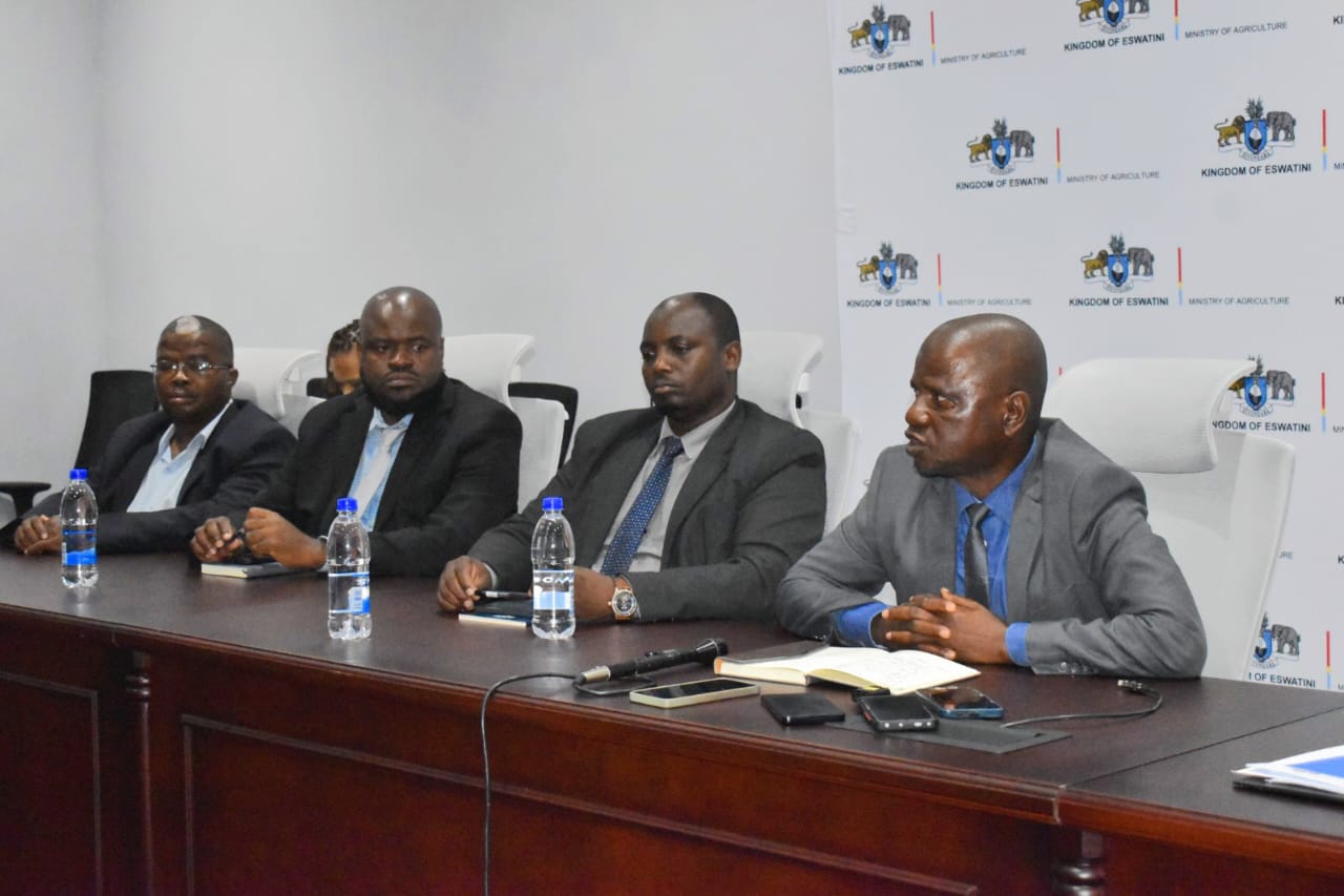 WhatsApp Image 2026-01-12 at 12.54.09 PM