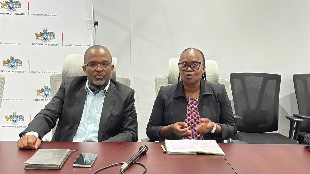 WhatsApp Image 2026-01-12 at 2.49.11 PM (1)