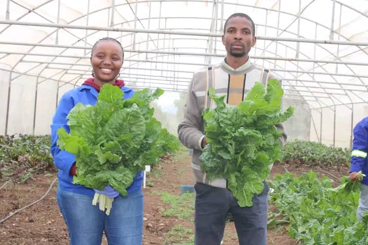 WhatsApp Image 2026-01-20 at 1.57.46 PM