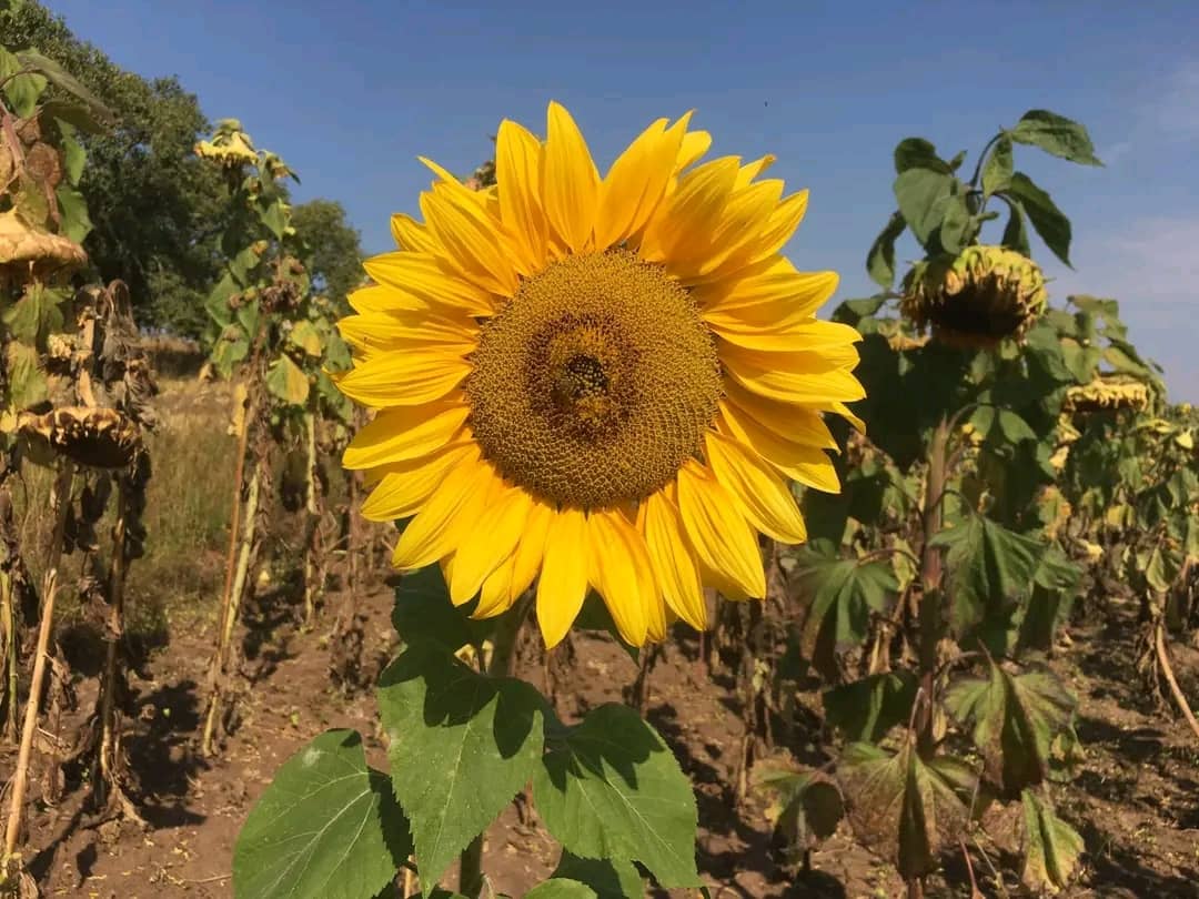 WhatsApp Image 2026-01-20 at 1.57.47 PM