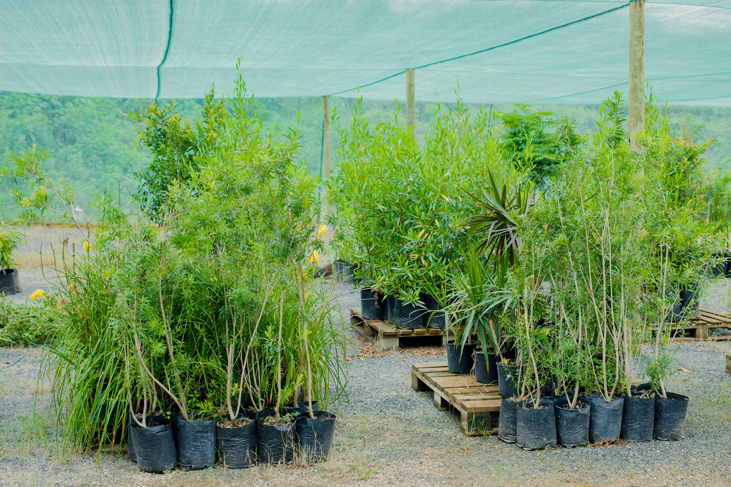 IMG_9943 (2) (1) IMG_9943 (2) (1)