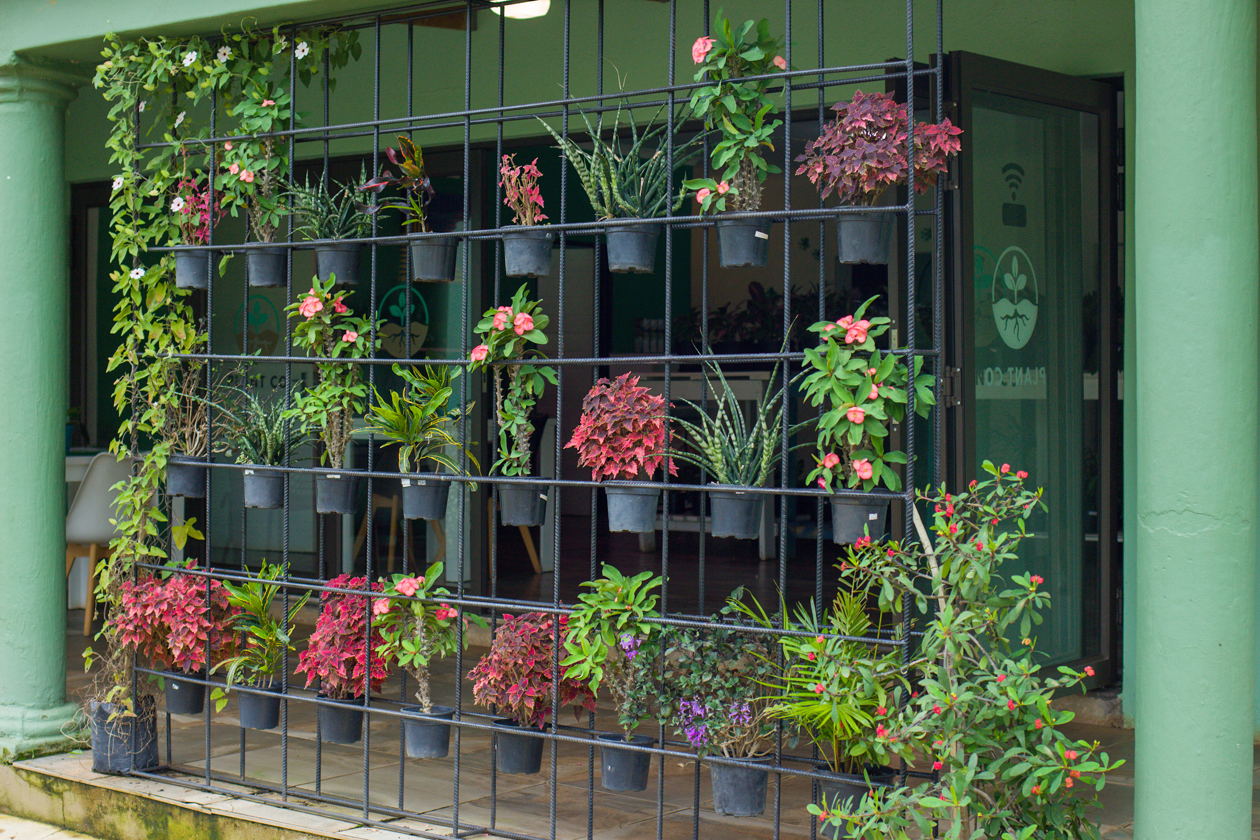 IMG_9968 (1) (1) IMG_9968 (1) (1)