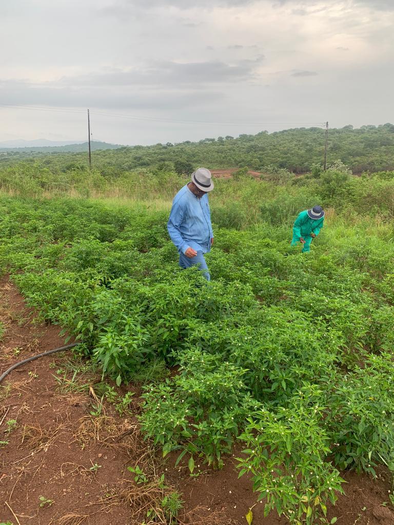 WhatsApp Image 2026-02-17 at 3.45.52 PM WhatsApp Image 2026-02-17 at 3.45.52 PM