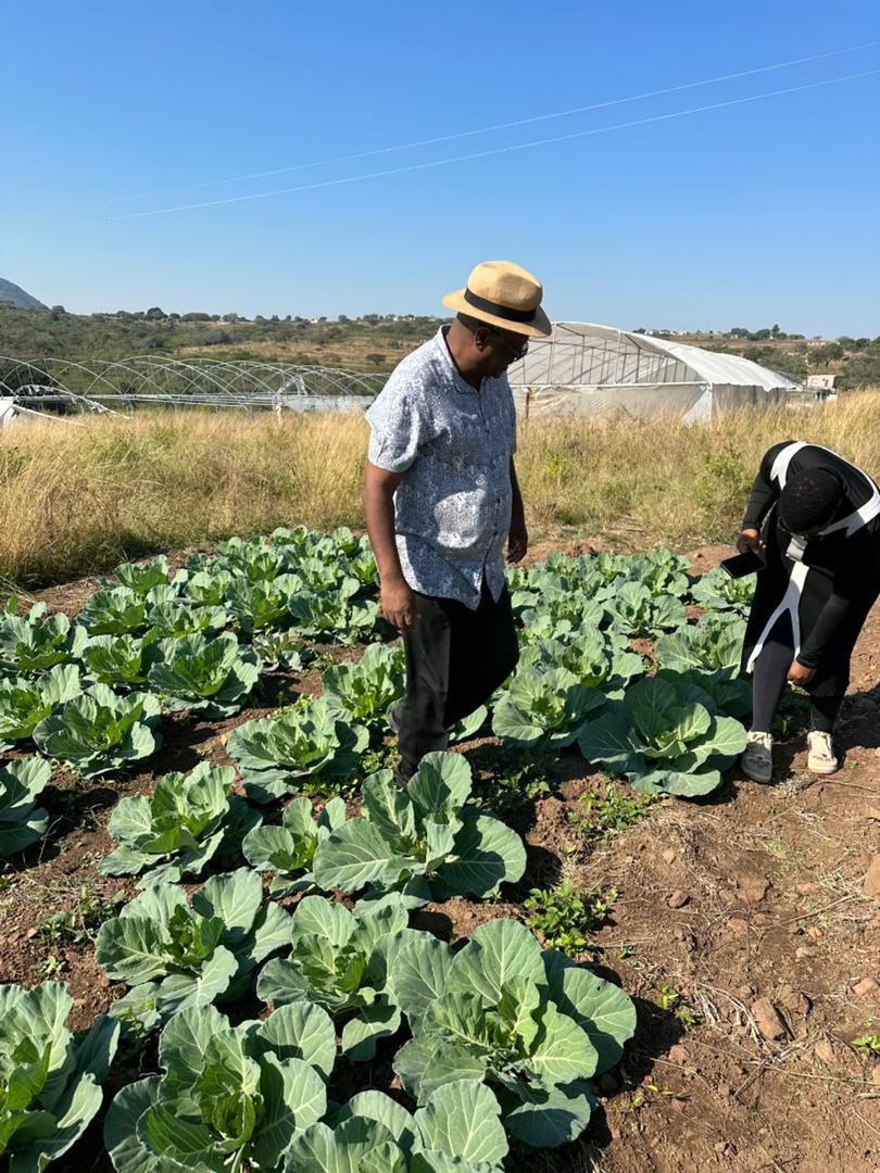 WhatsApp Image 2026-02-17 at 3.45.53 PM WhatsApp Image 2026-02-17 at 3.45.53 PM