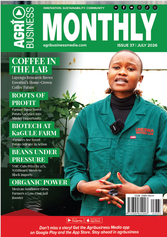 July 2026 Issue 37